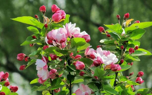 永磁變頻空壓機(jī)